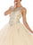 Crystal Embellished Jewel Quinceanera Ballgown