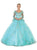 Embroidered Long Sleeve Quinceanera Ballgown