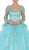 Embroidered Long Sleeve Quinceanera Ballgown