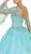 Embroidered Long Sleeve Quinceanera Ballgown