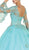 May Queen - Embroidered Long Sleeve Quinceanera Ballgown