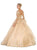 Embroidered Long Sleeve Quinceanera Ballgown