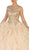 Gilded Jewel Neck Ruffled Quinceanera Ballgown
