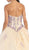 Bedazzled Sweetheart QuinceaÃ±era Ball Gown