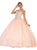 Lace Applique Illusion Neck Ball Gown