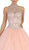 Lustrous Jeweled High Neck Ball Gown