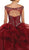 Embellished Illusion Off-Shoulder Ruffled Quinceanera Ballgown