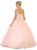 Embellished V-neck Quinceanera Ballgown