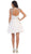 Beaded Illusion Tulle Cocktail Dress
