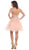 Beaded Illusion Tulle Cocktail Dress