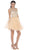 Beaded Illusion Tulle Cocktail Dress