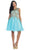 Sleeveless Ornate Lace Illusion Cocktail Dress