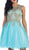 May Queen - Sleeveless Ornate Lace Illusion Cocktail Dress