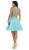 Sleeveless Ornate Lace Illusion Cocktail Dress