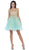 Strapless Appliqued Cocktail Dress