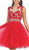 Astonishing Embroidered Bateau Illusion A-Line Cocktail Dress