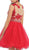 Astonishing Embroidered Bateau Illusion A-Line Cocktail Dress