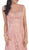 Embroidered Lace Illusion Bateau Long Formal Dress