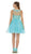 Floral Applique A Line Cocktail Dress
