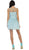 May Queen - Lace Sheer Jewel A-line Cocktail Dress