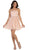 May Queen - Lace Sheer Jewel A-line Cocktail Dress