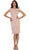 Lace Bateau Sheath Cocktail Dress