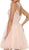 Embellished Jewel A-line Homecoming Dress