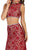 Sleeveless Two-Piece Lace Gown