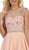Floral Detailed Illusion Jewel A-line Cocktail Dress