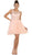 Illusion Lace A-Line Cocktail Dress