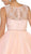 May Queen - Illusion Lace A-Line Cocktail Dress