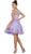 Illusion Lace A-Line Cocktail Dress