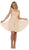 Embroidered Illusion A-Line Cocktail Dress
