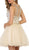 Beaded Illusion Cocktail Dress