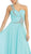 Rhinestone Embellished Pleated Evening Gown