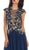 Laced Deep Illusion  V-Neck A-Line Evening Dress
