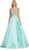 Sleeveless Sequin Embellished Evening Ballgown
