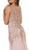 Sleeveless Sheer Illusion Evening Gown