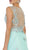 Embellished Illusion Bateau A-line Evening Gown