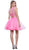 Two-Piece Lace and Tulle Cocktail Dress