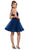 Illusion High Halter A-line Dress