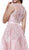Sleeveless Sheer Illusion Evening Dress