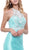 Illusion Halter Beaded Bodice Mermaid Gown