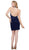 Nox Anabel - Lace Appliqued High Halter Illusion Dress 6309 In Blue
