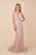 Nox Anabel - R282 Lace Embroidered Deep V-neck Trumpet Gown In Pink