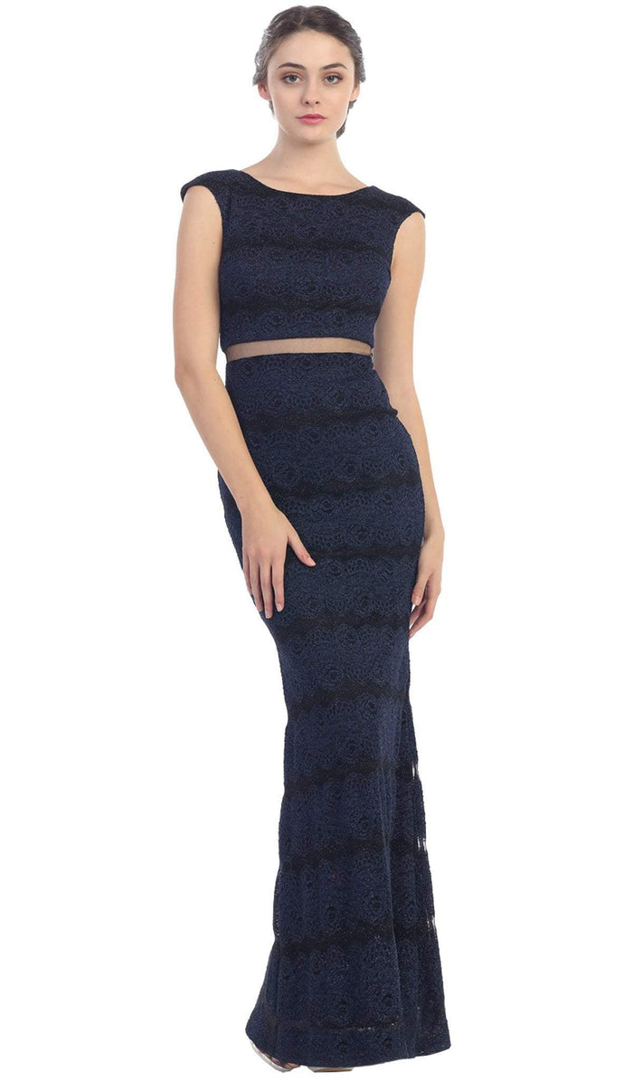Cap Sleeve Striped Metallic Mesh Sheath Evening Dress