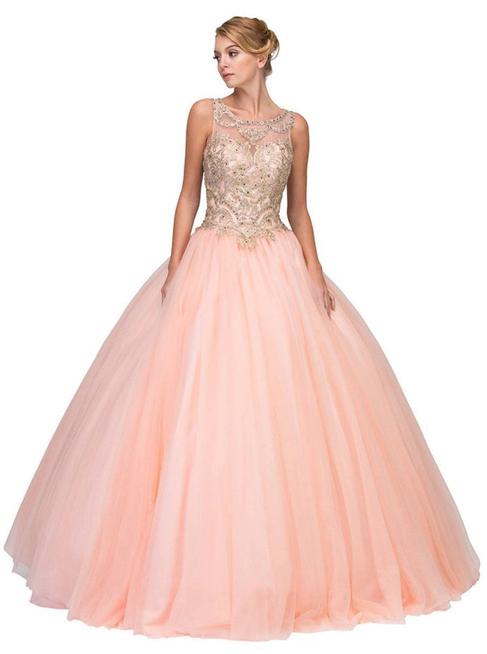 Gilded Bateau Neck Mesh Ball Gown