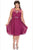 Divinely Pleated Bateau Illusion A-Line Cocktail Dress SC8080