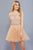 Nox Anabel - 6252 Embroidered Bodice Tulle Short Party Dress in Neutral