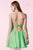 Alyce Paris Homecoming - 3643 Dress in Green